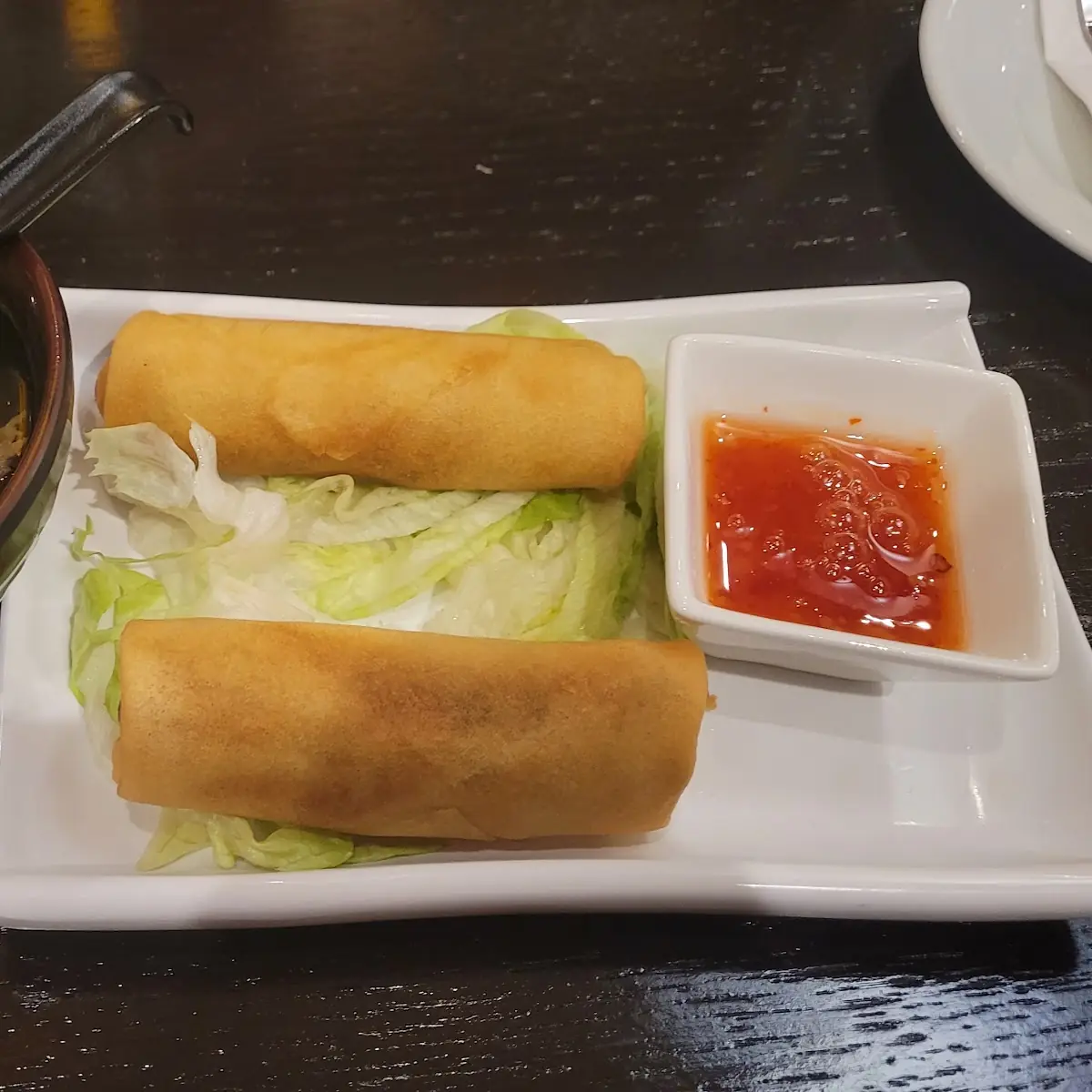 spring roll 2 上海卷